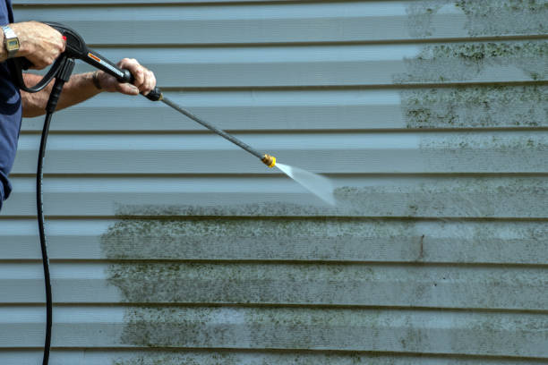 Best Driveway Cleaning and Restoration in Evans, CO